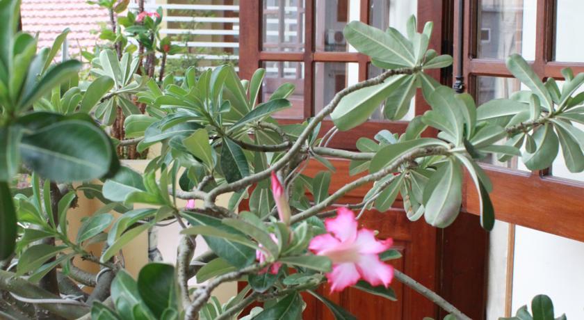 Phong Lan Guesthouse Hue Exterior photo